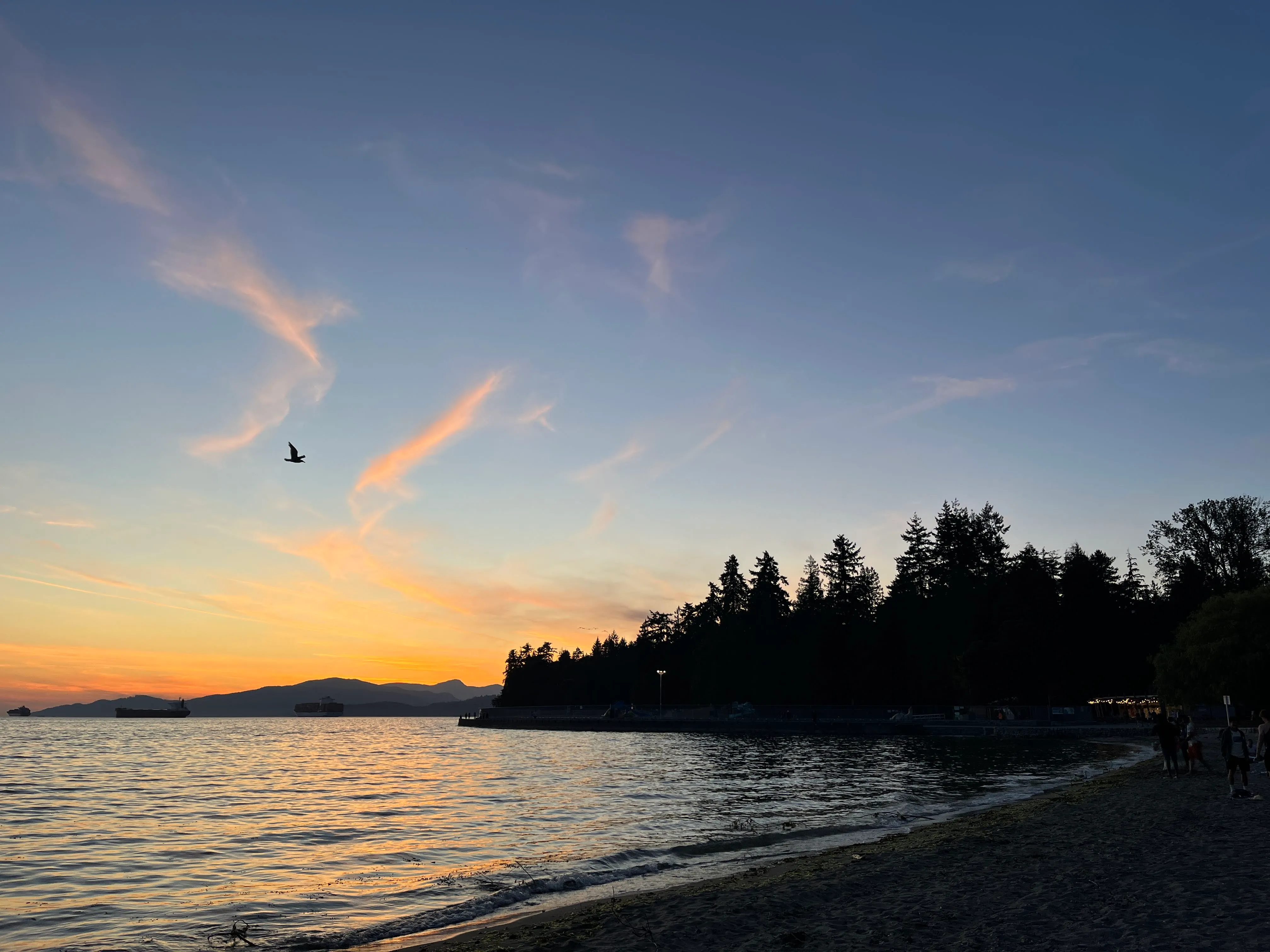 Vancouver Stanley Part Sunset